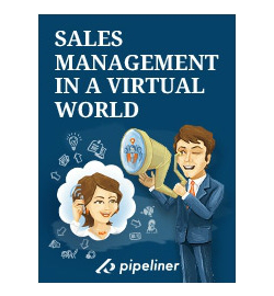 Sales Strateges eBook: Sales Management in a Virtual World